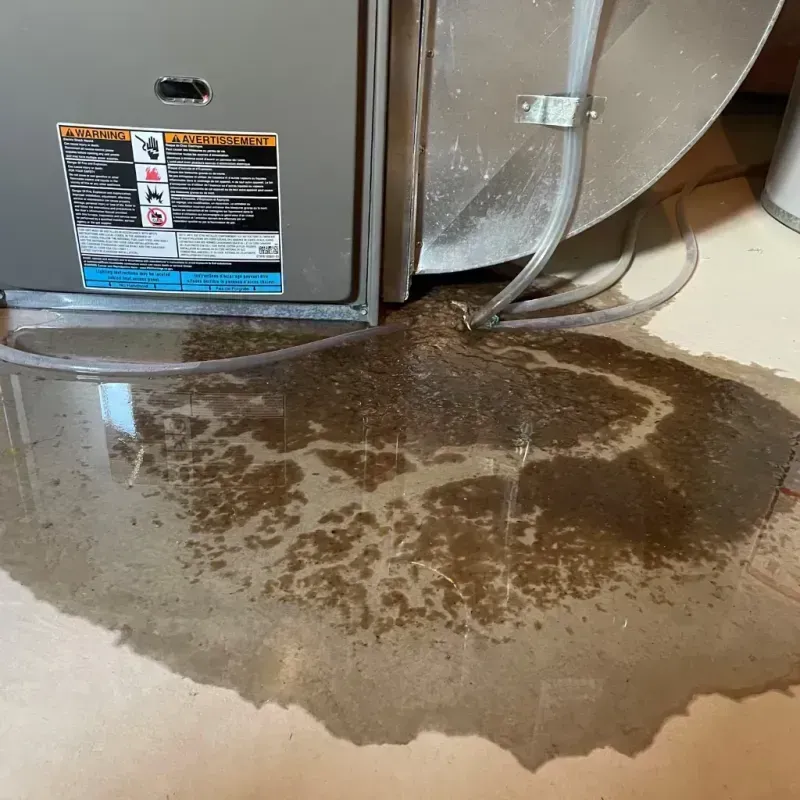 Appliance Leak Cleanup in Pottawattamie County, IA